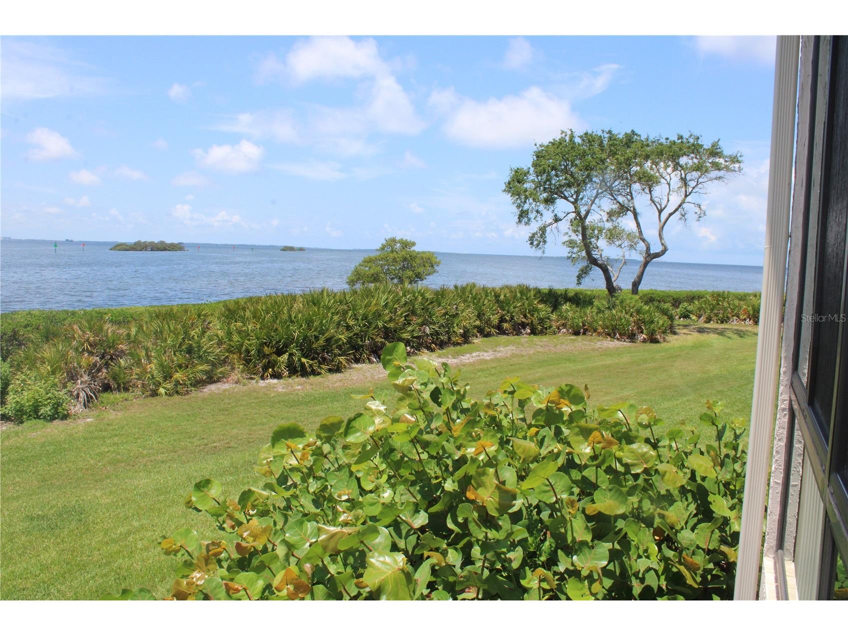 1813 Mariner Drive #151 Tarpon Springs FL 34689 TB8508966 image16