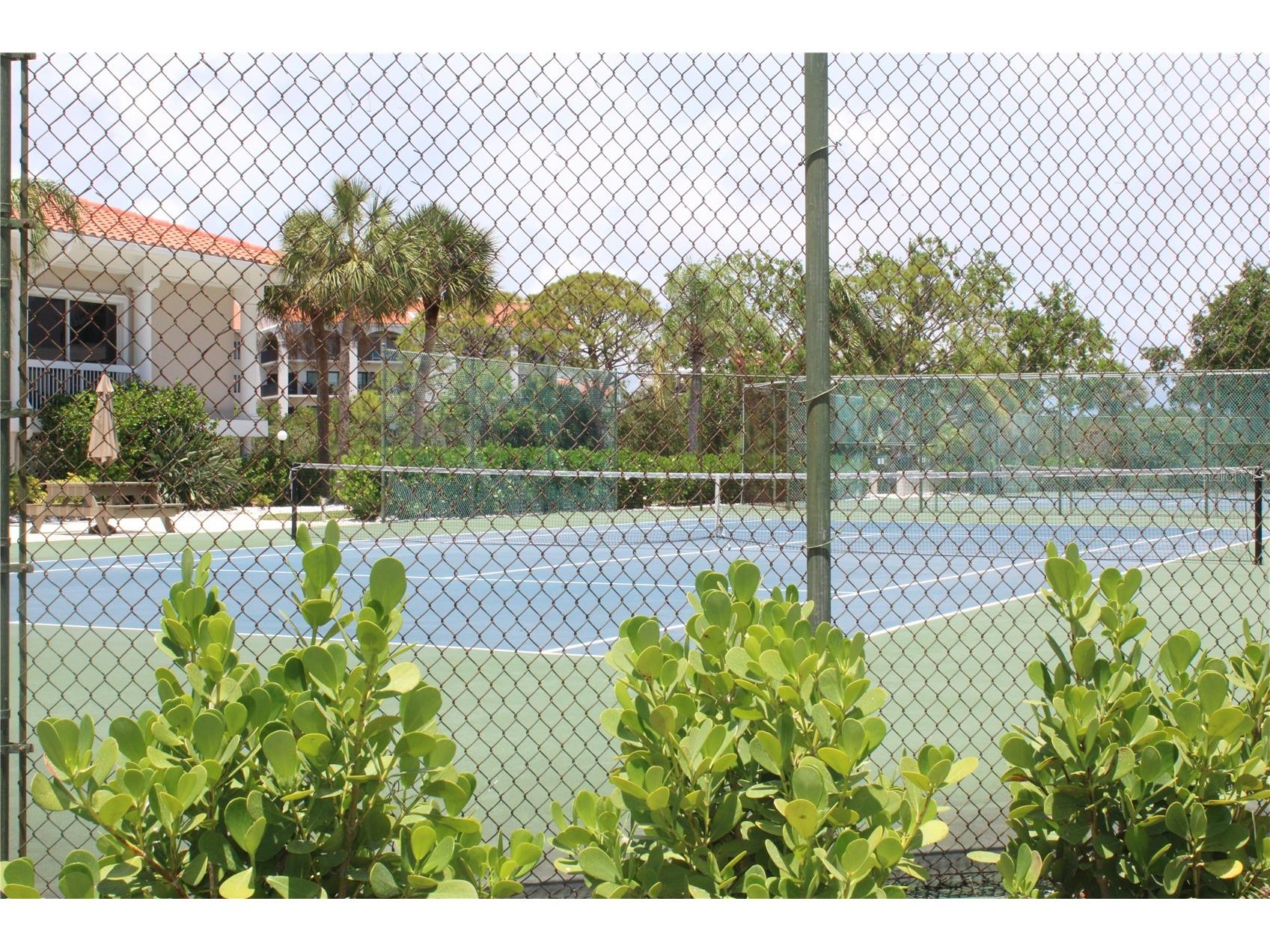 1813 Mariner Drive #151 Tarpon Springs FL 34689 TB8508966 image20