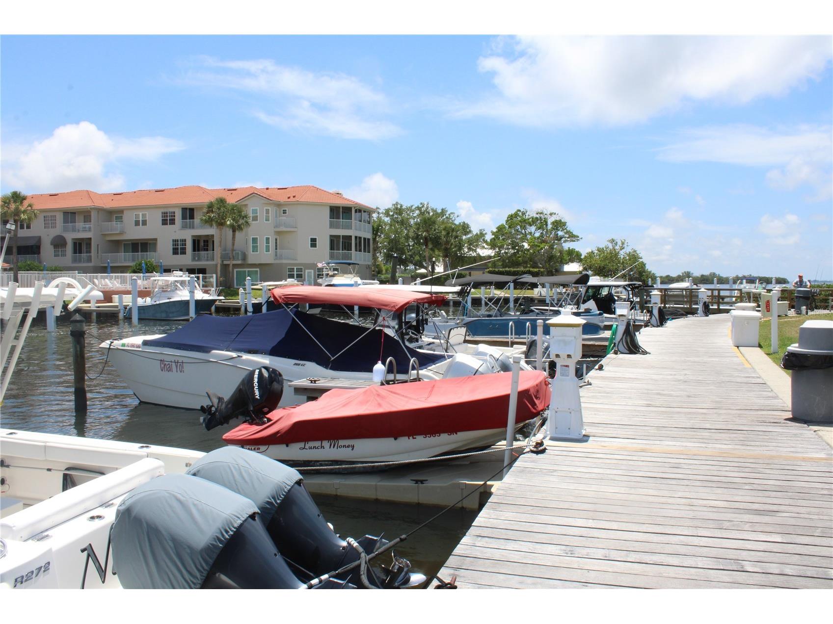 1813 Mariner Drive #151 Tarpon Springs FL 34689 TB8508966 image21