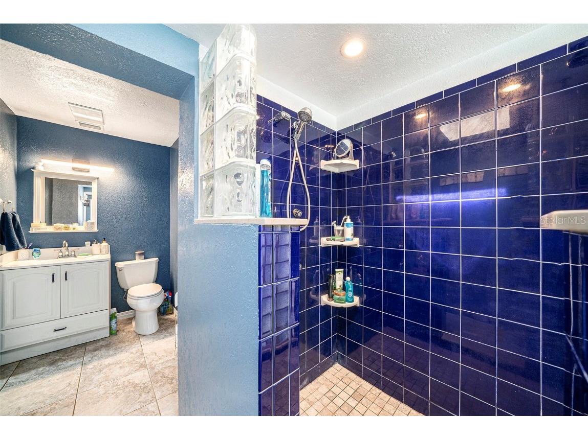 1813 Nova Drive Valrico FL 33596 TB8387243 image19