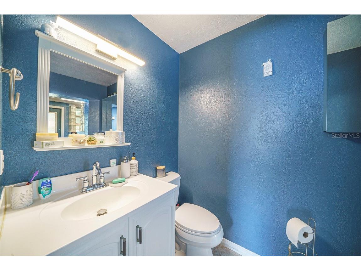 1813 Nova Drive Valrico FL 33596 TB8387243 image20