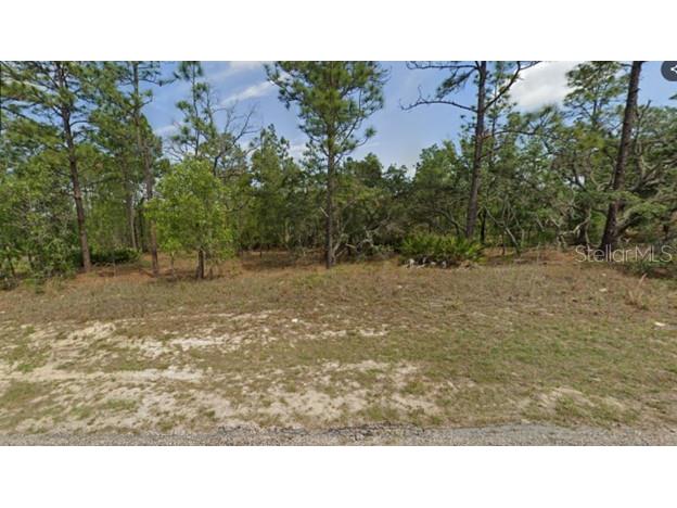 1813 W Hialeah Drive Citrus Springs FL 34434 OM695553 image1