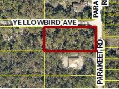 18131 Parakeet Road Weeki Wachee FL 34614 W7882003 image1