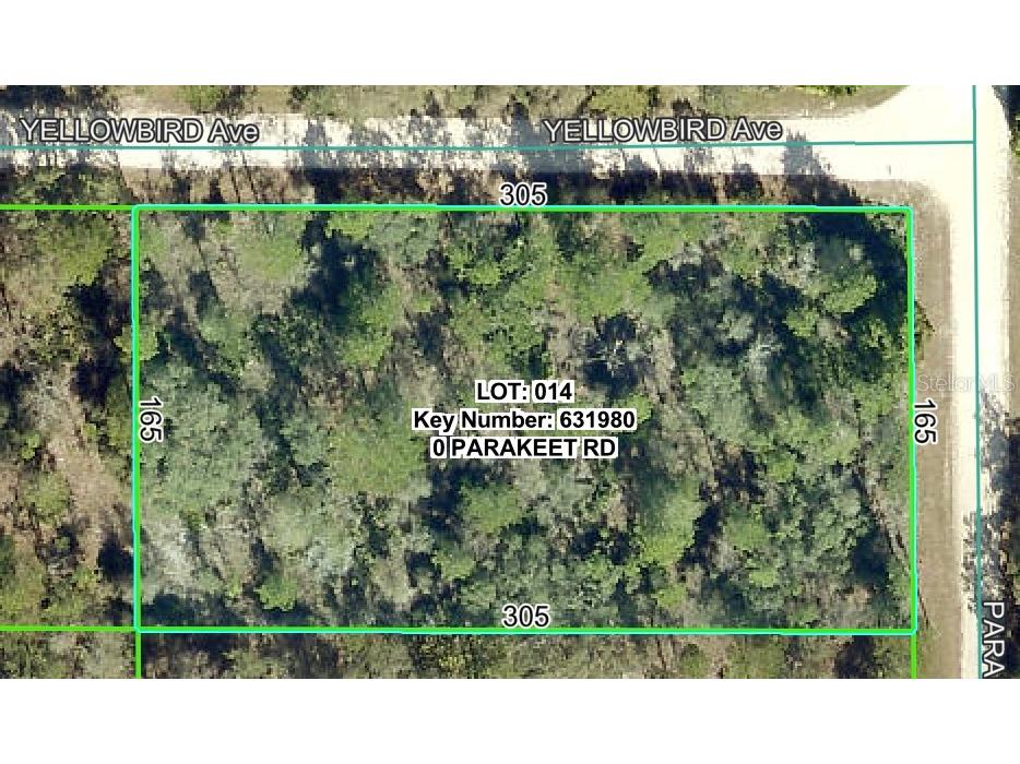 18131 Parakeet Road Weeki Wachee FL 34614 W7882003 image2