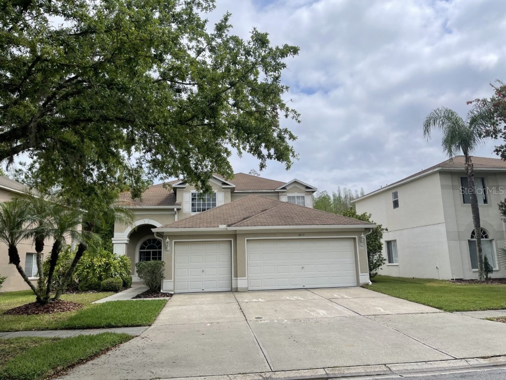 18131 Sandy Pointe Drive Tampa FL 33647 T3472312 image1