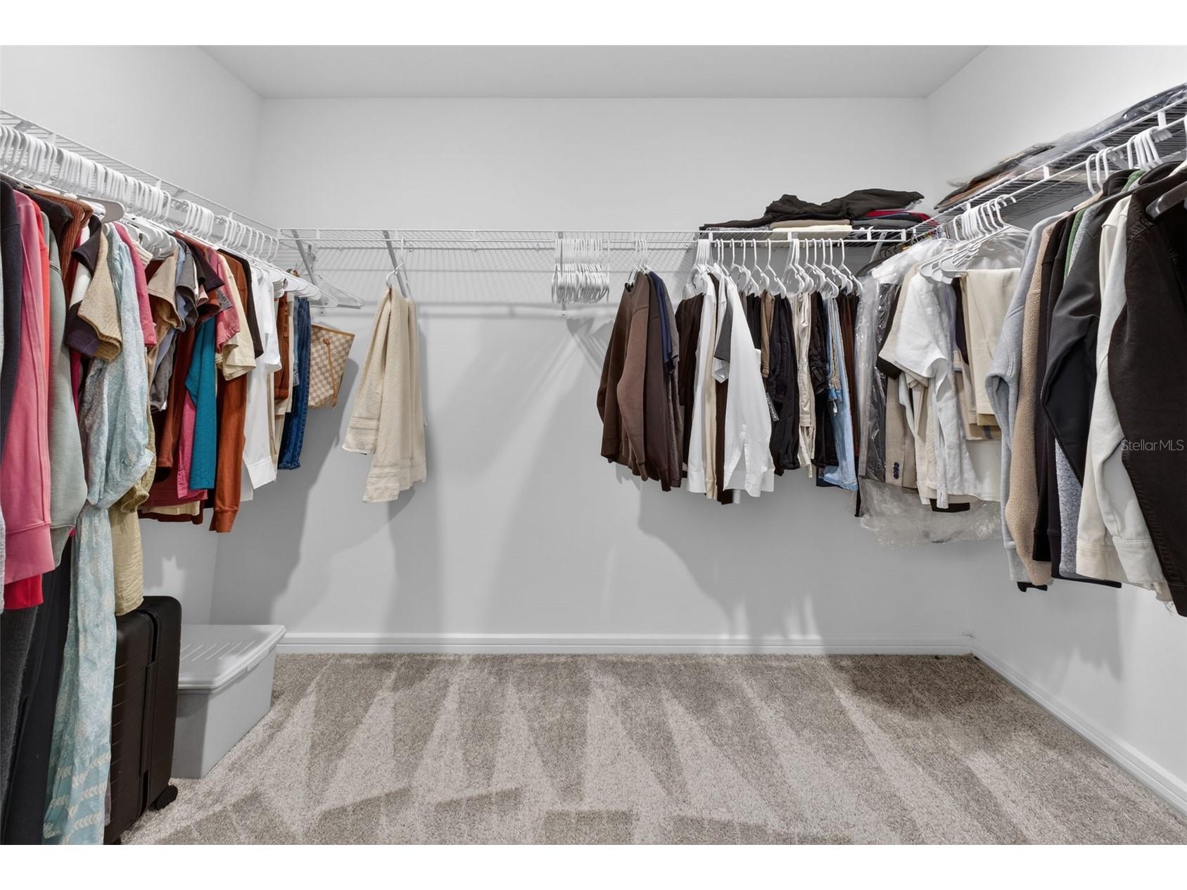 18132 Ramble On Way Land O Lakes FL 34638 TB8471431 image45