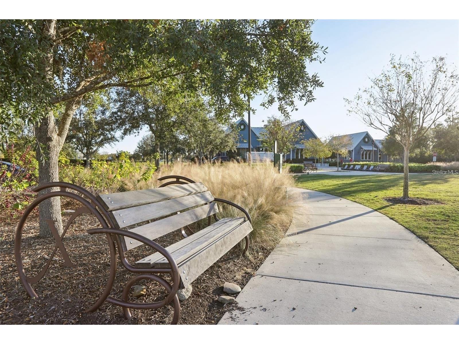 18132 Ramble On Way Land O Lakes FL 34638 TB8471431 image71