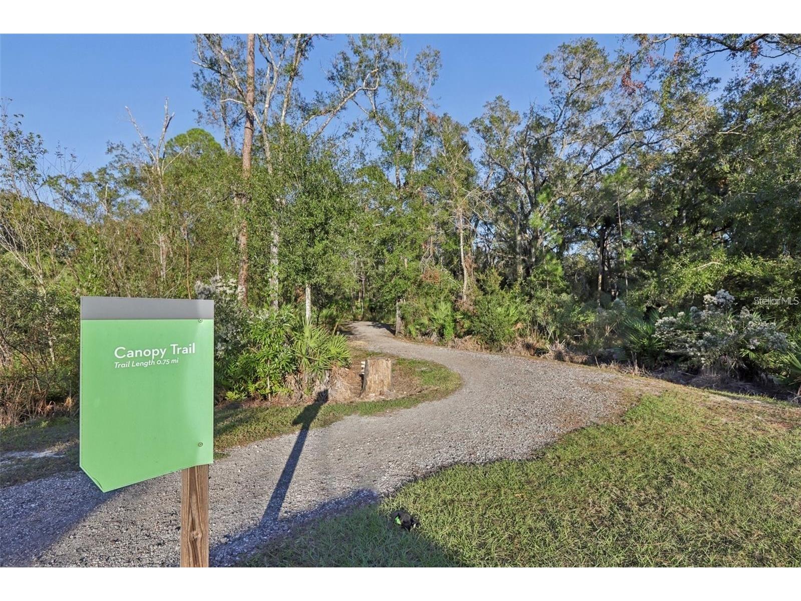 18132 Ramble On Way Land O Lakes FL 34638 TB8471431 image72