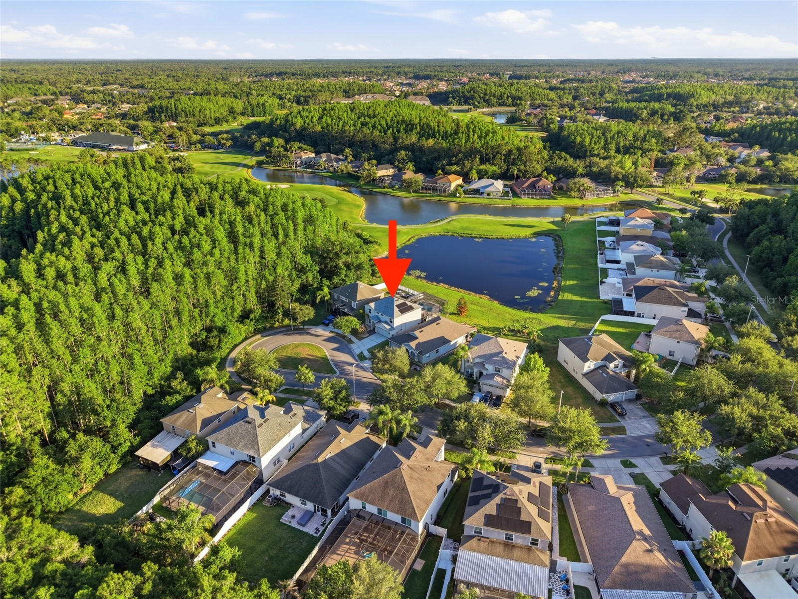 18133 Bahama Bay Drive Tampa FL 33647 TB8508062 image47