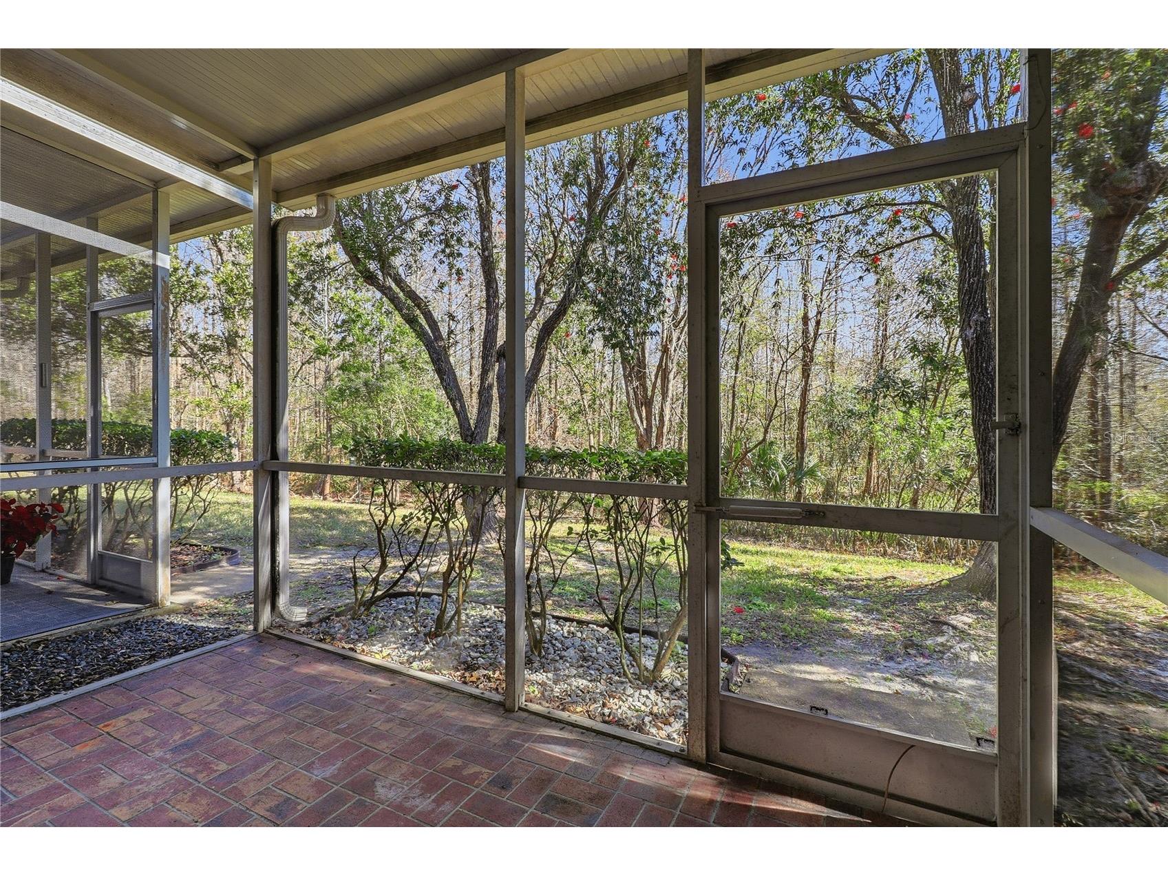 18133 Paradise Point Drive Tampa FL 33647 TB8471923 image23