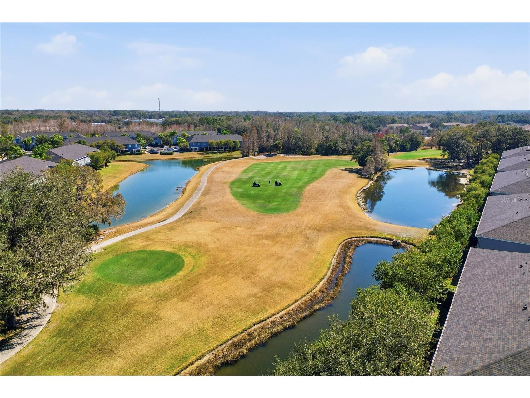 18133 Paradise Point Drive Tampa FL 33647 TB8471923 image25