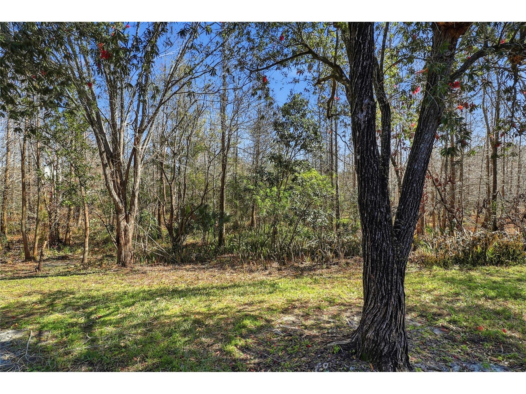 18133 Paradise Point Drive Tampa FL 33647 TB8471923 image26