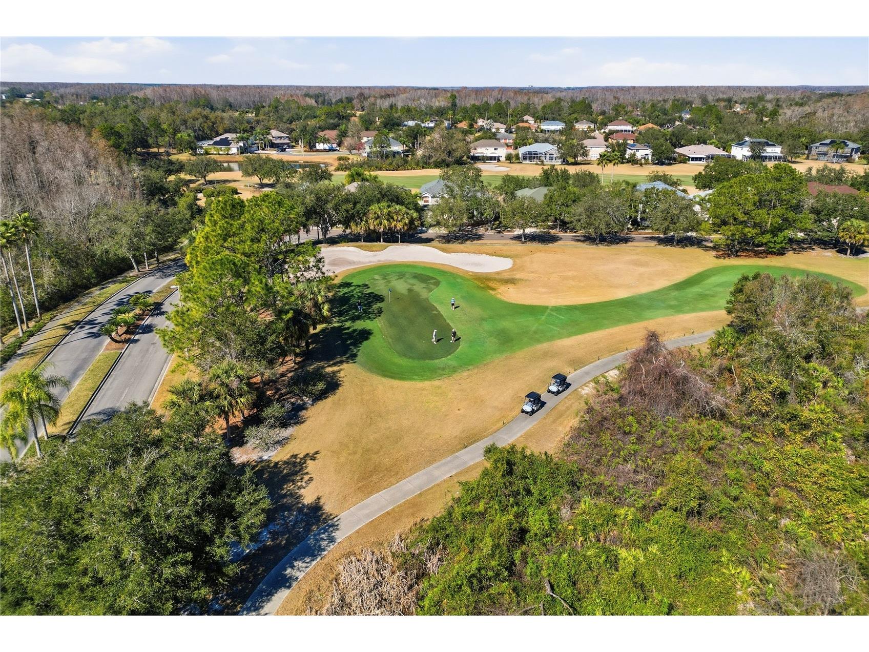 18133 Paradise Point Drive Tampa FL 33647 TB8471923 image27