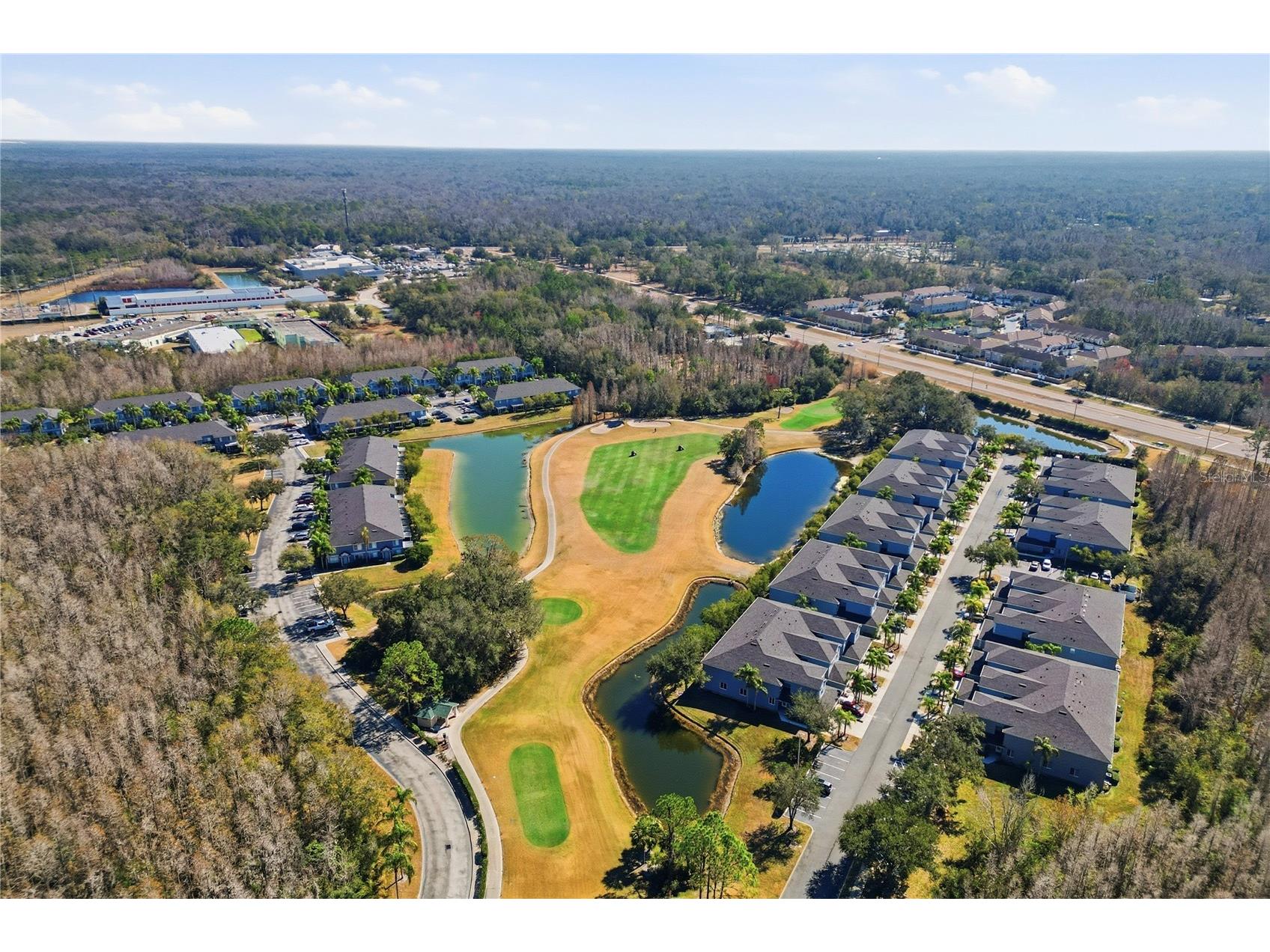 18133 Paradise Point Drive Tampa FL 33647 TB8471923 image28