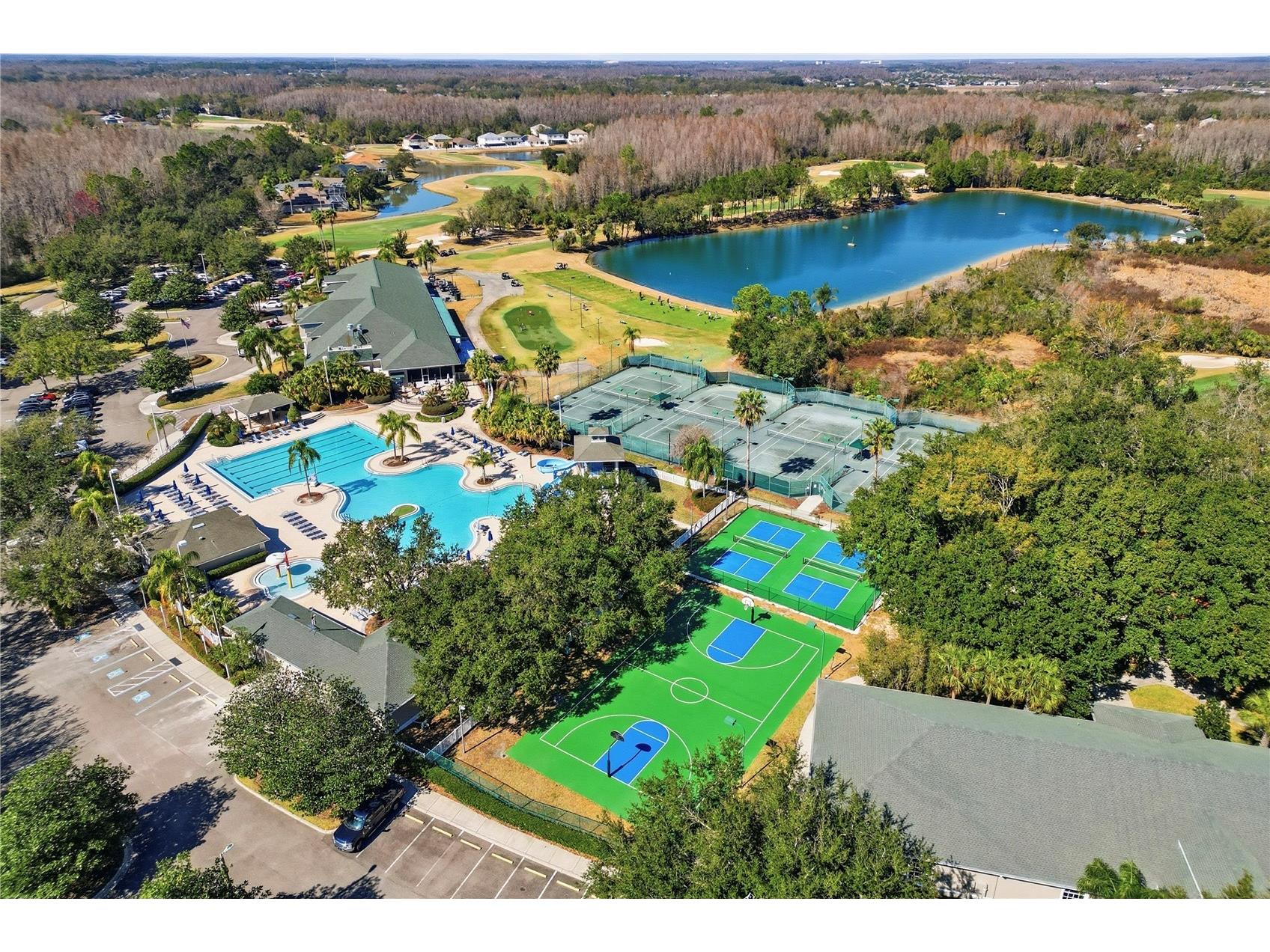 18133 Paradise Point Drive Tampa FL 33647 TB8471923 image29