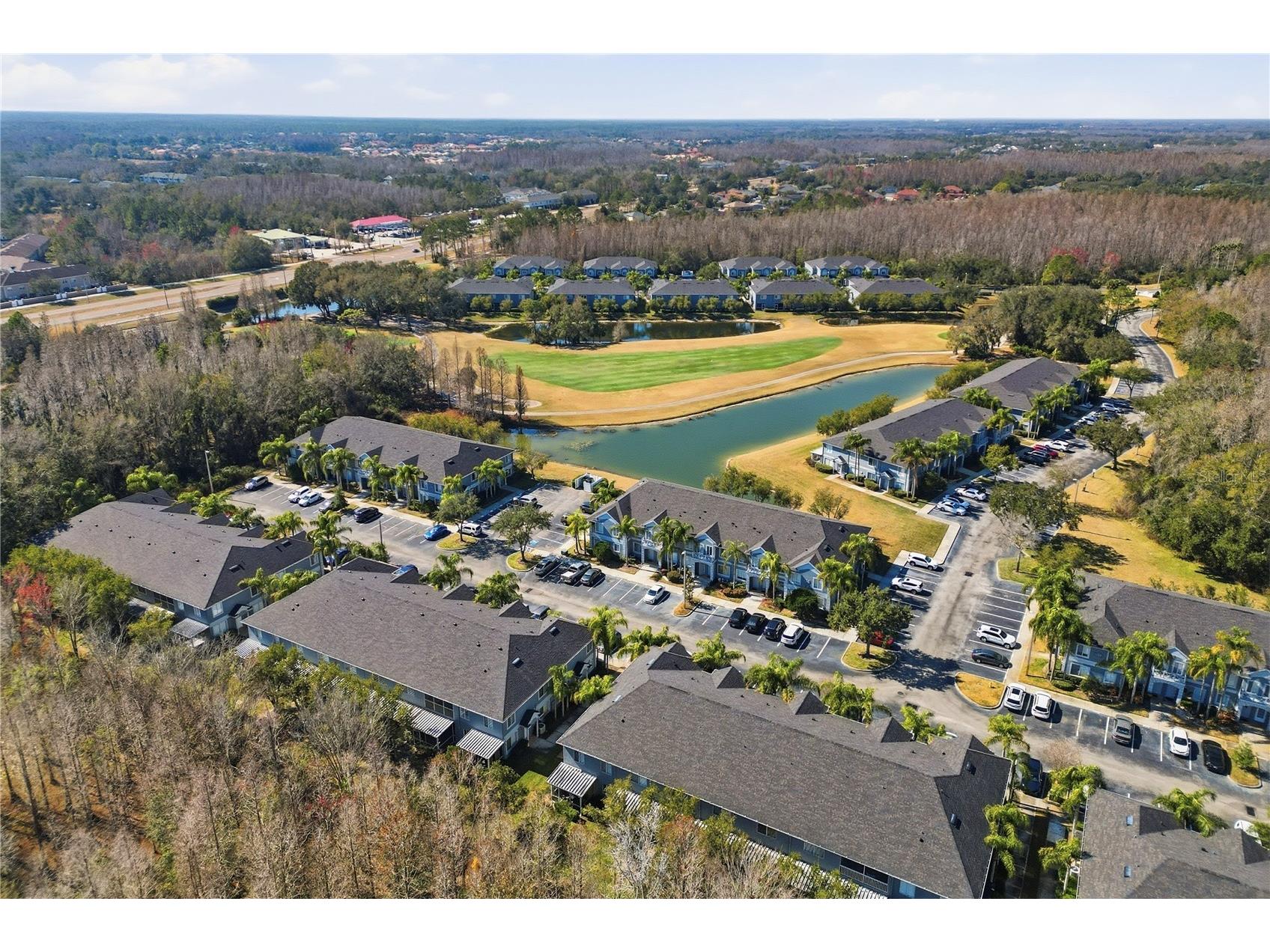 18133 Paradise Point Drive Tampa FL 33647 TB8471923 image30