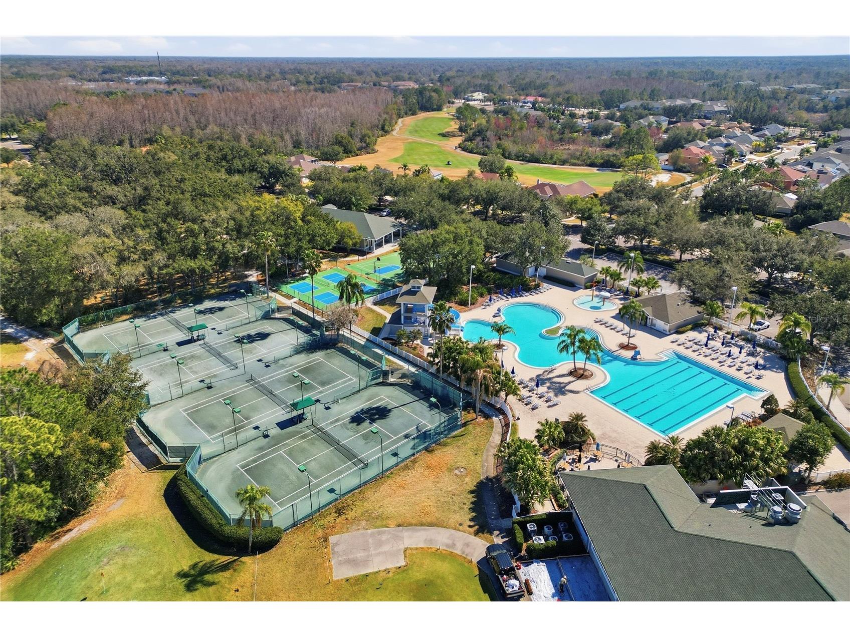 18133 Paradise Point Drive Tampa FL 33647 TB8471923 image31