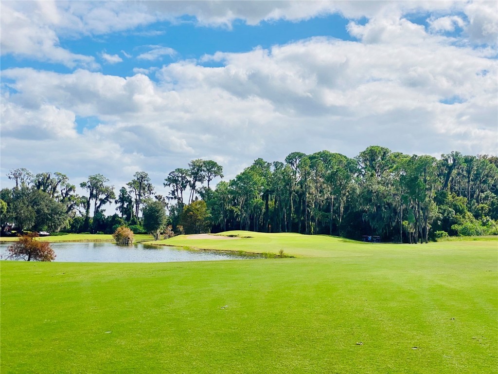 18134 Eagles Way Deer Island FL 32778 - LAKE DORA & LAKE BEAUCLAIR TB8442414 image28