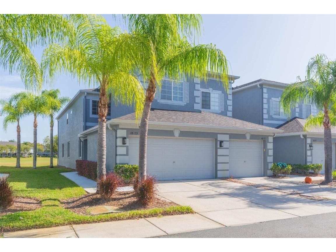18135 Nassau Point Drive Tampa FL 33647 T3484178 image1