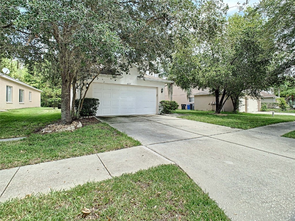 18135 Sandy Pointe Drive Tampa FL 33647 T3489436 image1