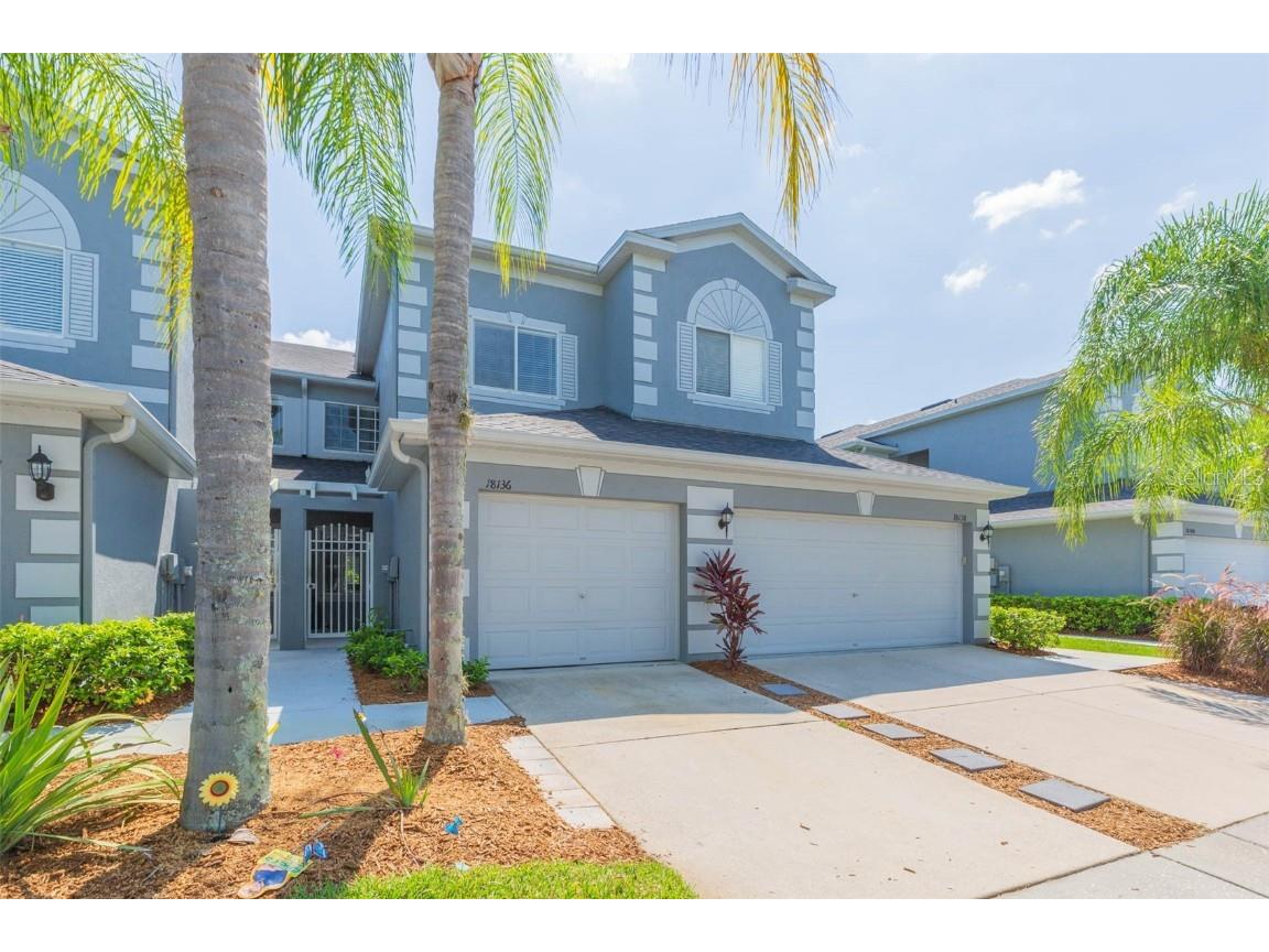 18136 Nassau Point Drive Tampa FL 33647 T3455664 image1