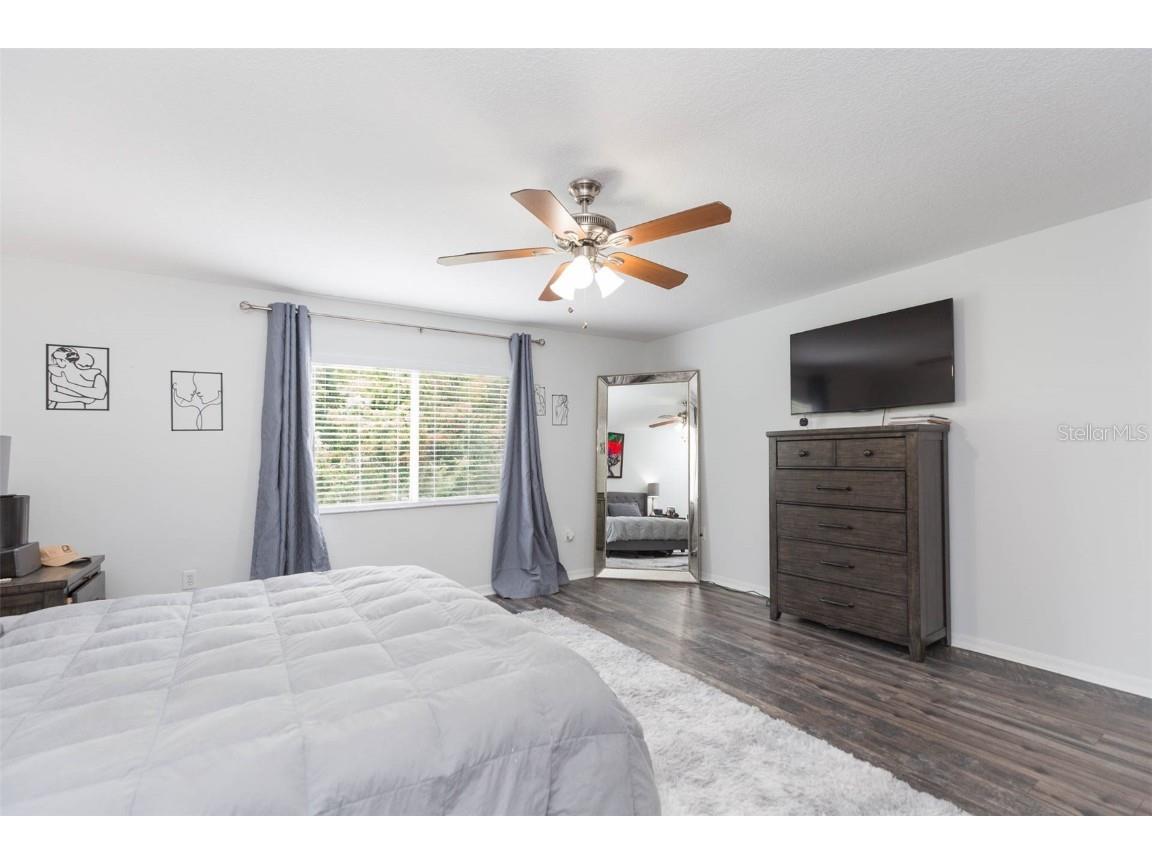 18136 Nassau Point Drive Tampa FL 33647 TB8402068 image18