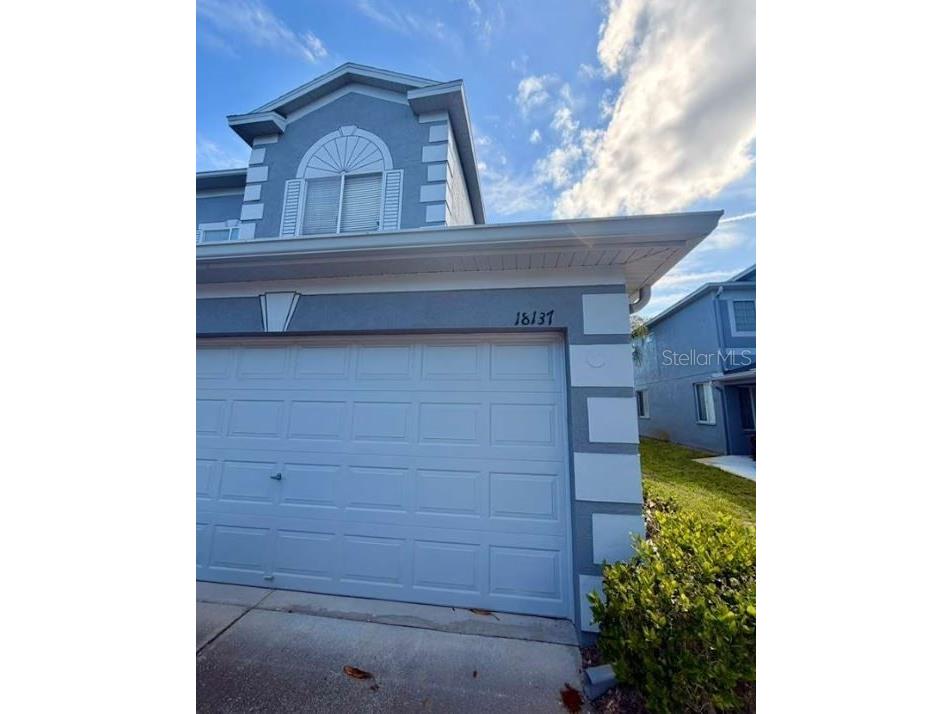 18137 Nassau Point Drive Tampa FL 33647 TB8499833 image1
