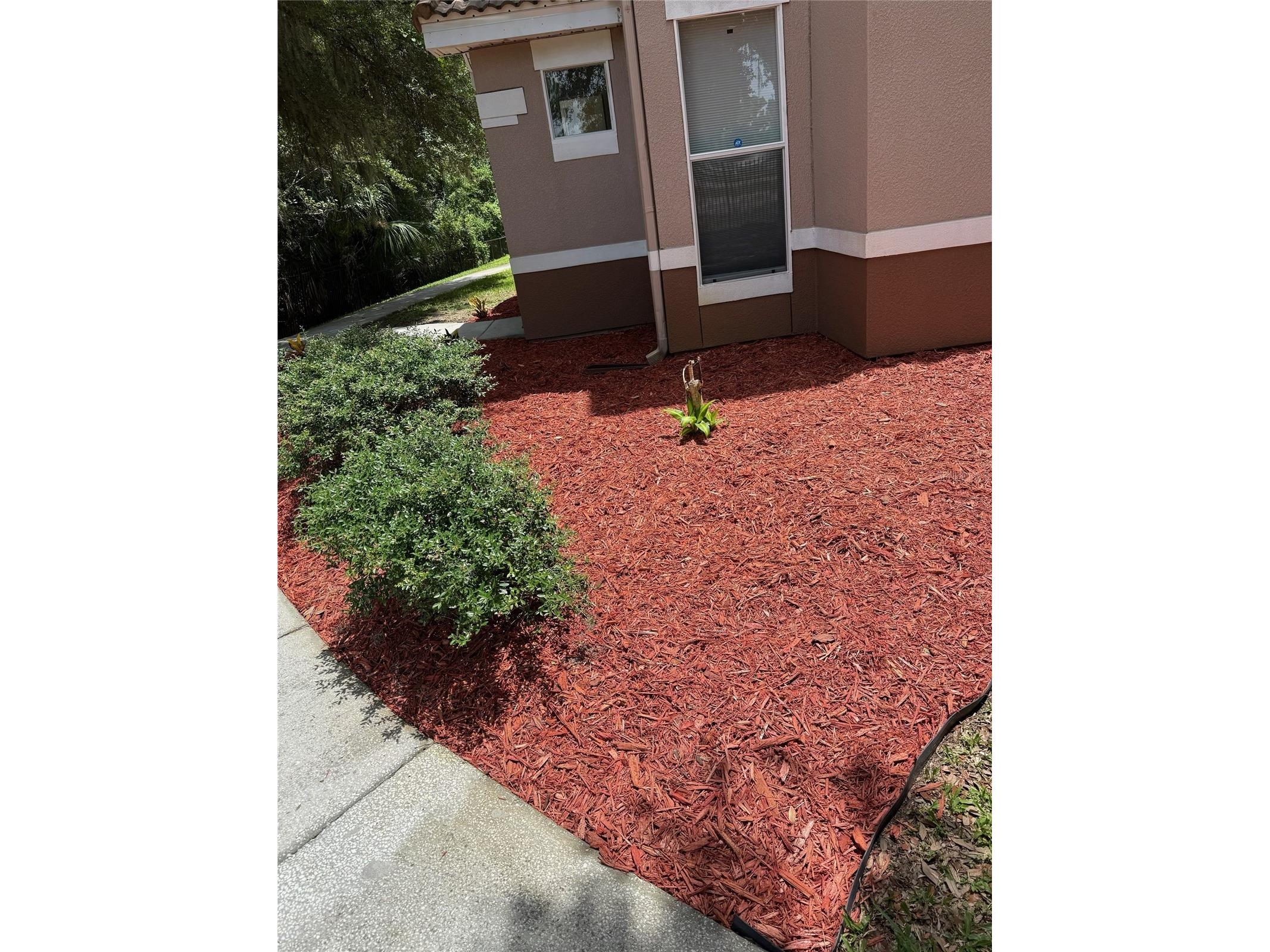 18138 Villa Creek Drive #18138 Tampa FL 33647 TB8517354 image2