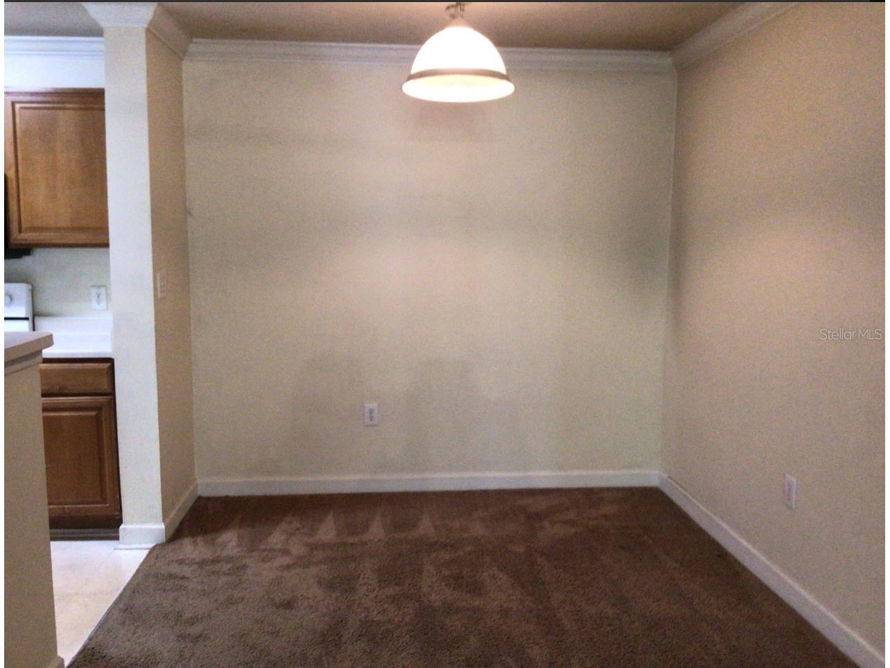 18139 Back Stretch Lane #18139 Tampa FL 33647 O6413141 image9