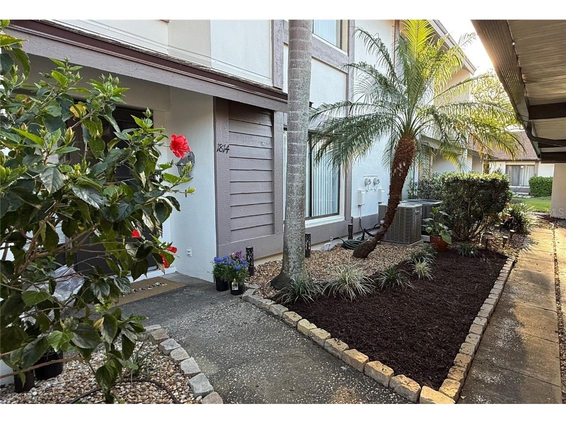 1814 Cypress Trace Drive Safety Harbor FL 34695 TB8358956 image1