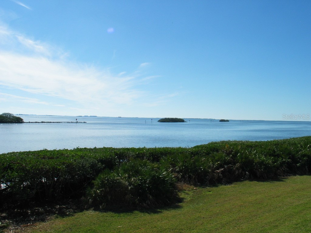 1814 Mariner Drive #159 Tarpon Springs FL 34689 - GULF OF MEXICO TB8450746 image1