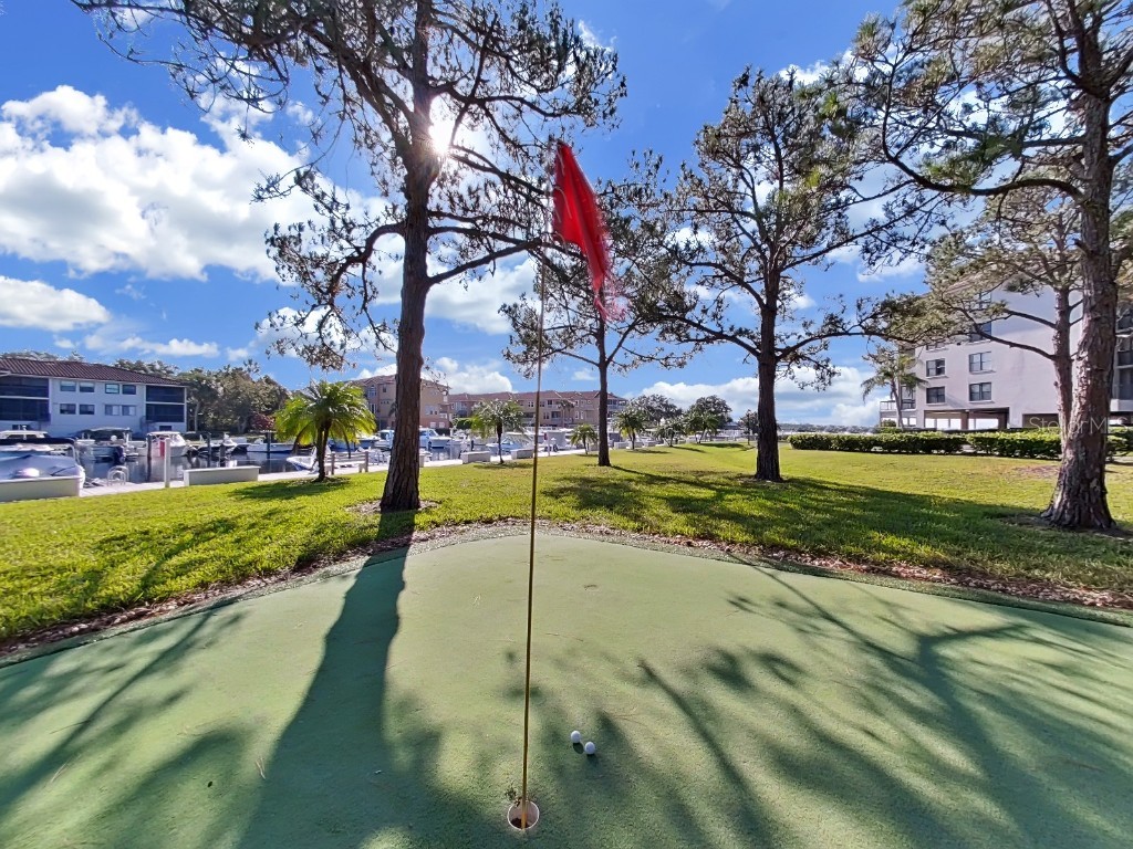 1814 Mariner Drive #159 Tarpon Springs FL 34689 - GULF OF MEXICO TB8450746 image32