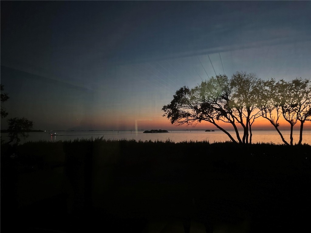 1814 Mariner Drive #159 Tarpon Springs FL 34689 - GULF OF MEXICO TB8450746 image4