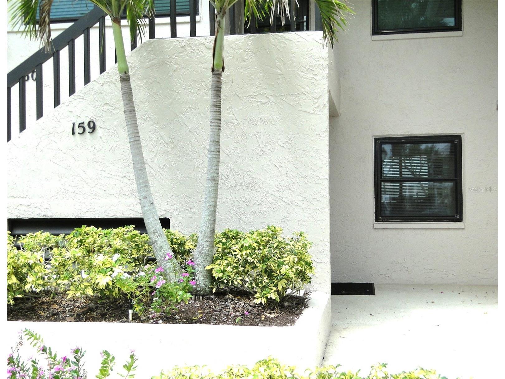 1814 Mariner Drive #159 Tarpon Springs FL 34689 - GULF OF MEXICO TB8513347 image2