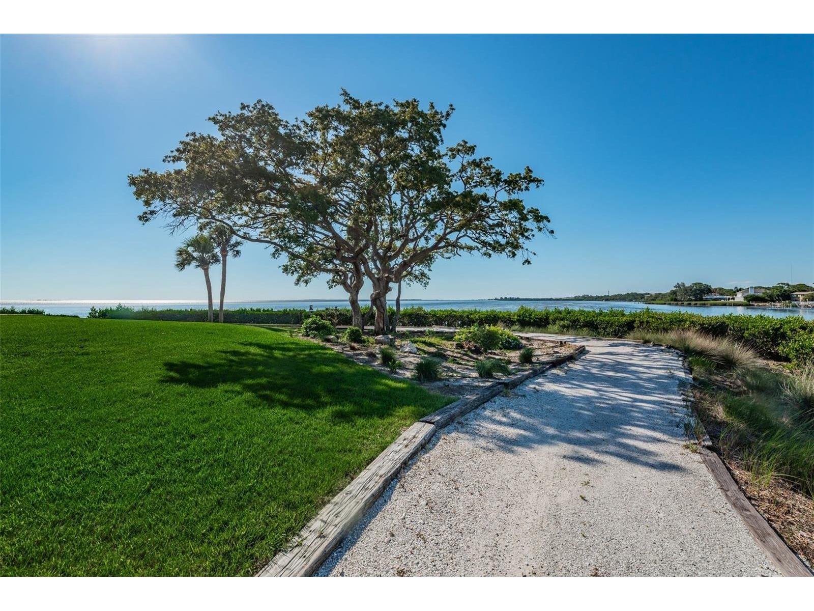 1814 Mariner Drive #159 Tarpon Springs FL 34689 - GULF OF MEXICO TB8513347 image25