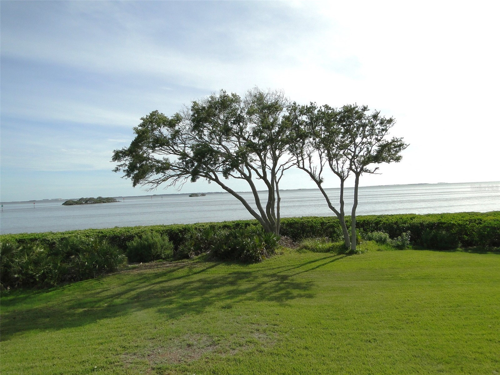 1814 Mariner Drive #159 Tarpon Springs FL 34689 - GULF OF MEXICO TB8513347 image26