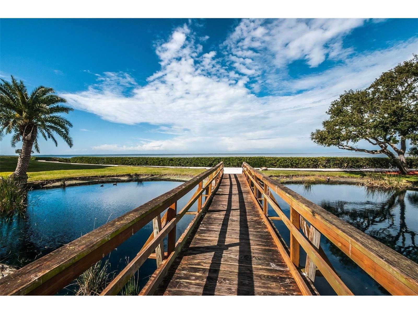 1814 Mariner Drive #159 Tarpon Springs FL 34689 - GULF OF MEXICO TB8513347 image27