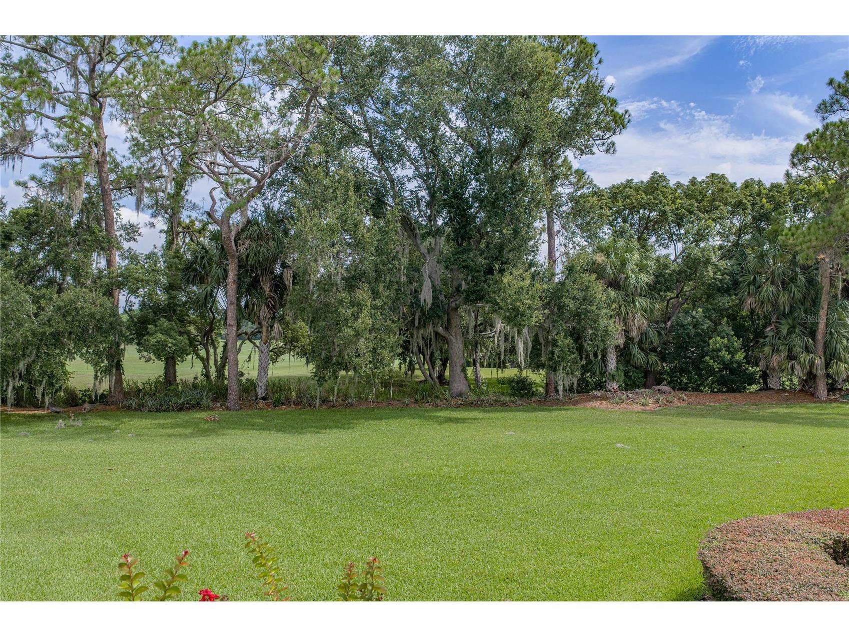 1814 Sandhill Lane Winter Haven FL 33884 L4963215 image57