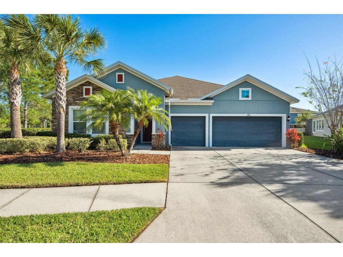 1814 Tuttle Lane Wesley Chapel FL 33543 T3435717 image1