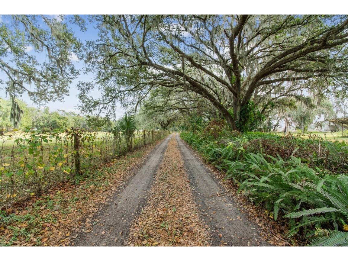 1814 Wise Road Zephyrhills FL 33540 TB8451967 image2