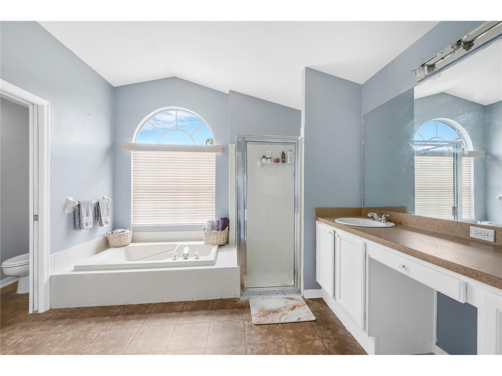 18140 Palm Breeze Drive Tampa FL 33647 TB8512879 image17