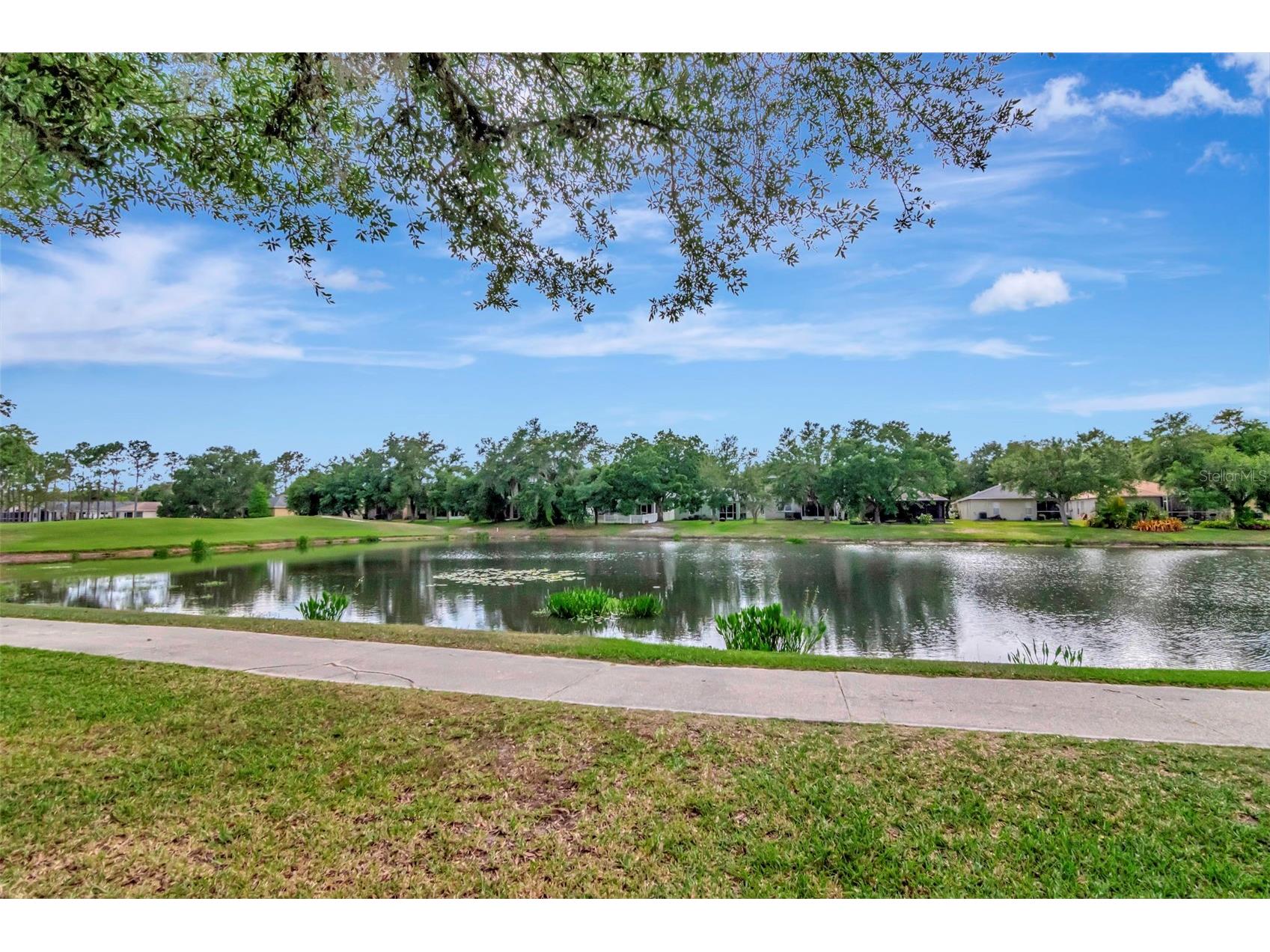 18140 Portside Street Tampa FL 33647 TB8505502 image29