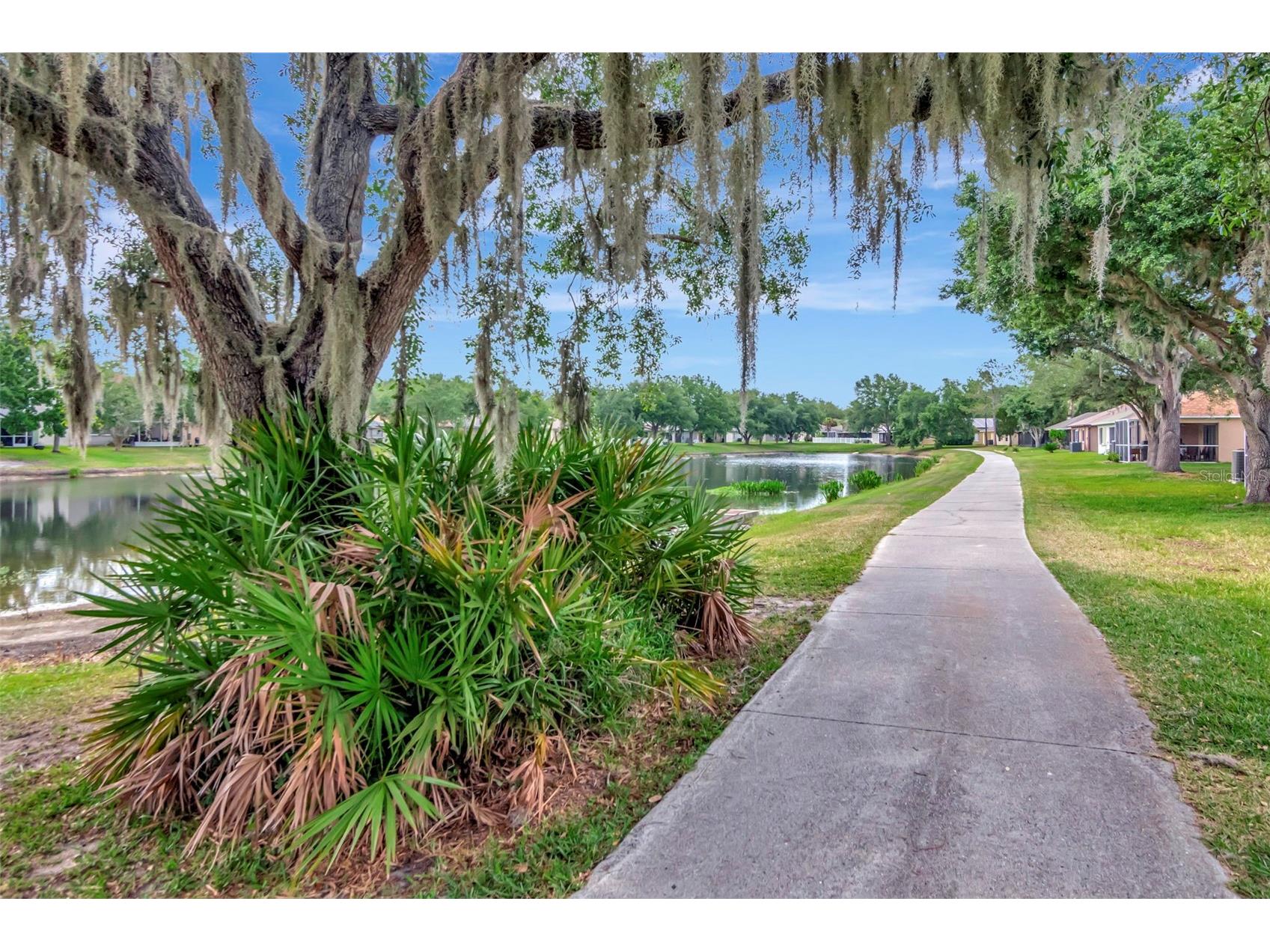 18140 Portside Street Tampa FL 33647 TB8505502 image35