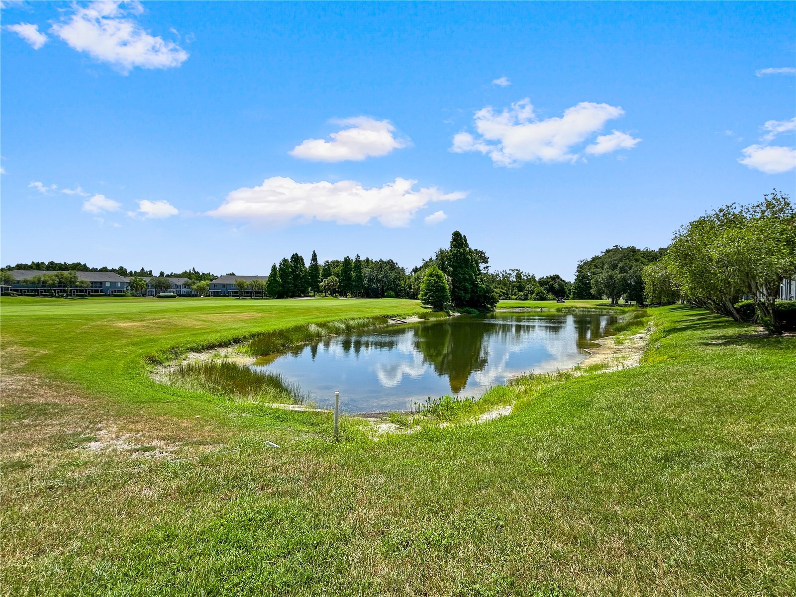 18141 Nassau Point Drive Tampa FL 33647 TB8520759 image16
