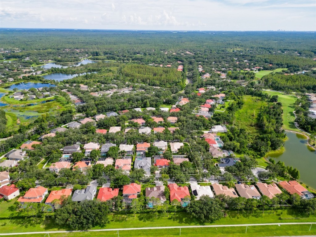 18142 Regents Square Drive Tampa FL 33647 TB8408270 image100