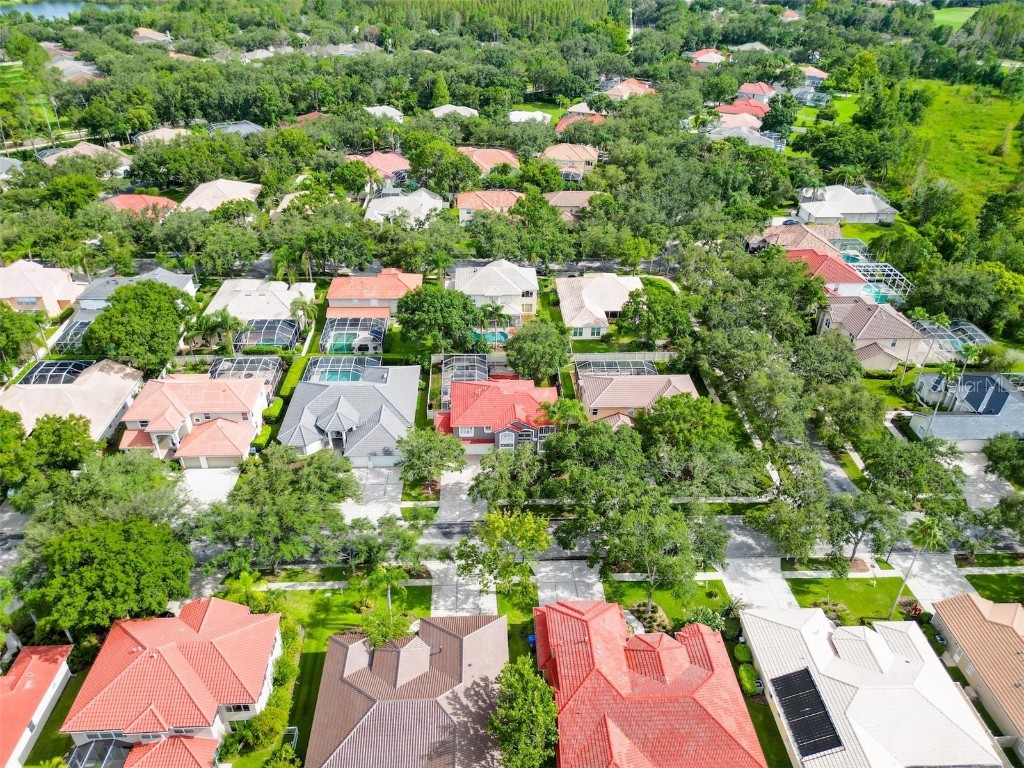 18142 Regents Square Drive Tampa FL 33647 TB8408270 image98