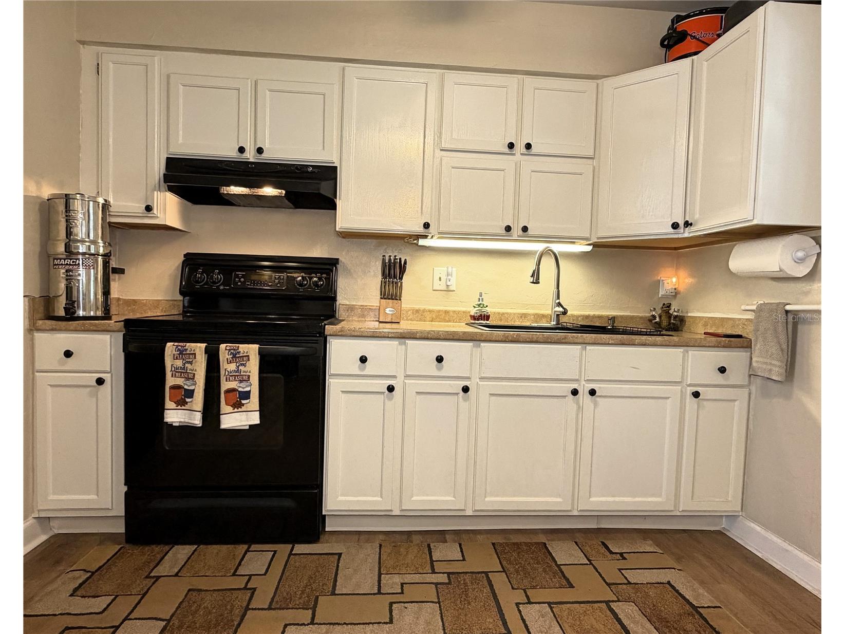 18143 NW 251st Terrace High Springs FL 32643 GC540245 image6