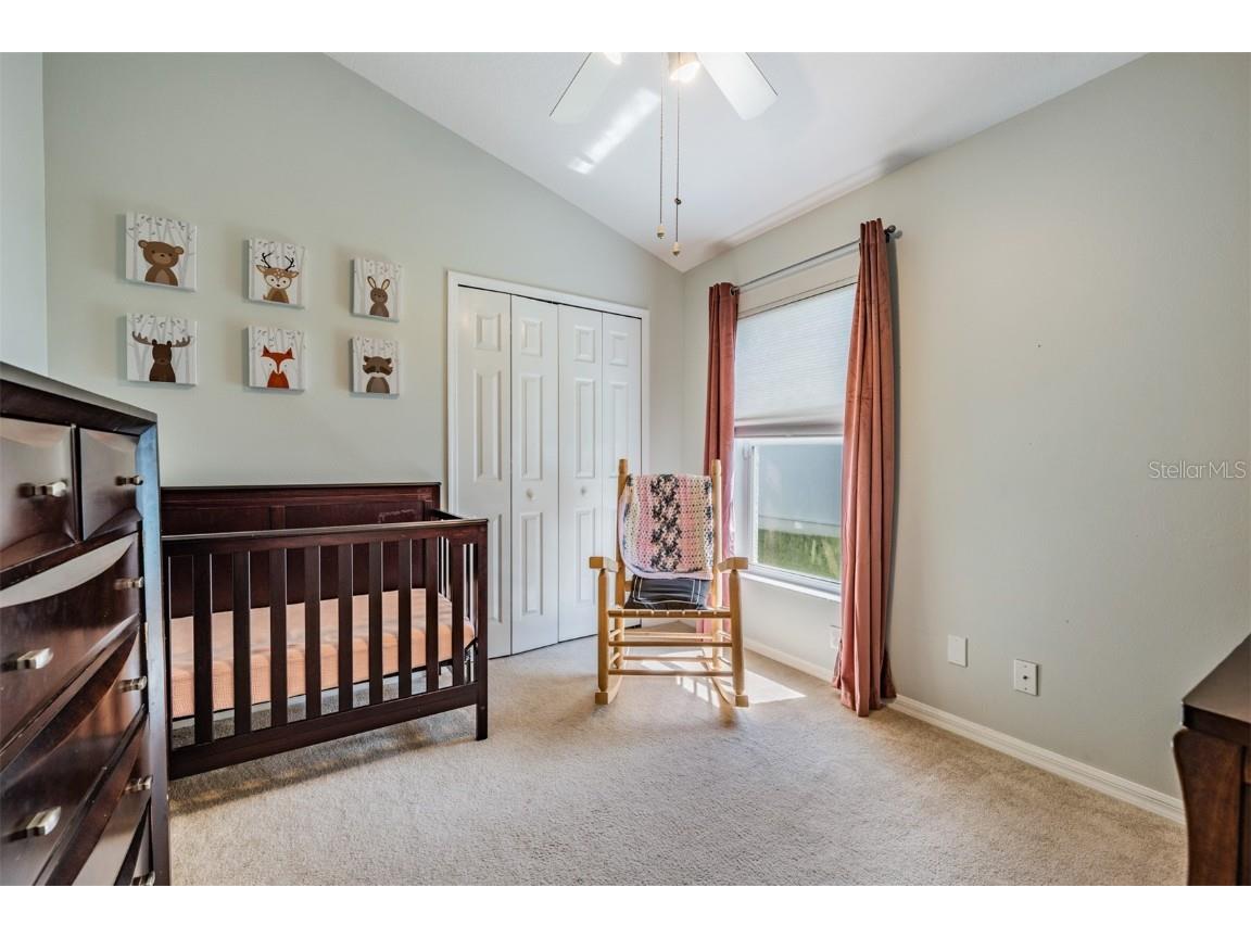 18143 Palm Breeze Drive Tampa FL 33647 TB8414058 image26