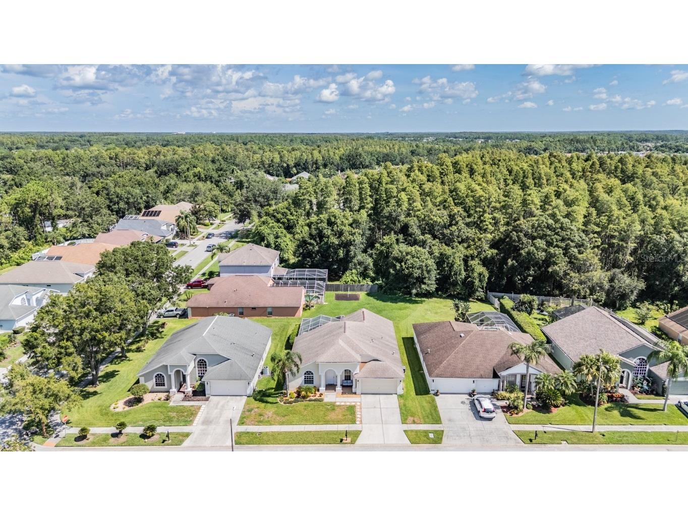 18143 Palm Breeze Drive Tampa FL 33647 TB8414058 image37