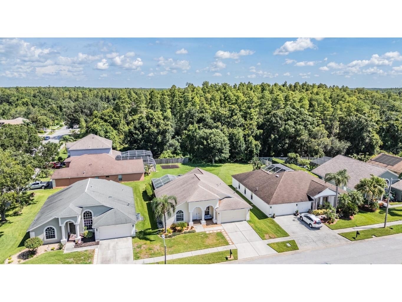 18143 Palm Breeze Drive Tampa FL 33647 TB8414058 image38